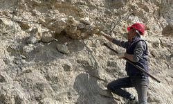 KAYALARDAN TAŞ DÜŞMESİNE KARŞI ÖNLEM ALINDI